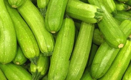 רוצים לגדל קישואים בבית? כך תיהנו מיבול שופע