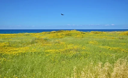 החום מתחזק היום, אבל השינוי כבר בדרך: התחזית המלאה