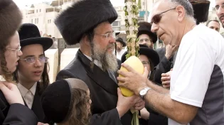 הסוד של ארבעת המינים: לאיזה סוג של יהודי אתם שייכים?