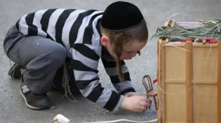 הילדים משתעממים בסוכה? 9 רעיונות שישנו את האווירה