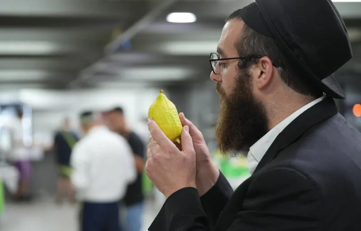 אתרוג