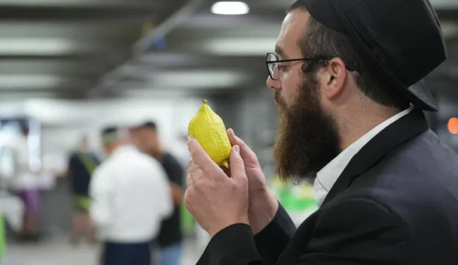 עד אלפי שקלים לאתרוג: מה הופך אותו לכל כך יקר?