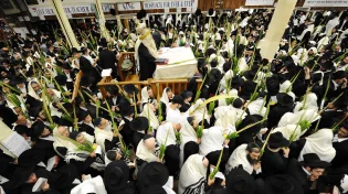 חיתום הדין: 8 דברים שכדאי לדעת על הושענא רבה