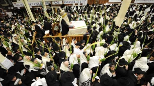 חיתום הדין: 8 דברים שכדאי לדעת על הושענא רבה
