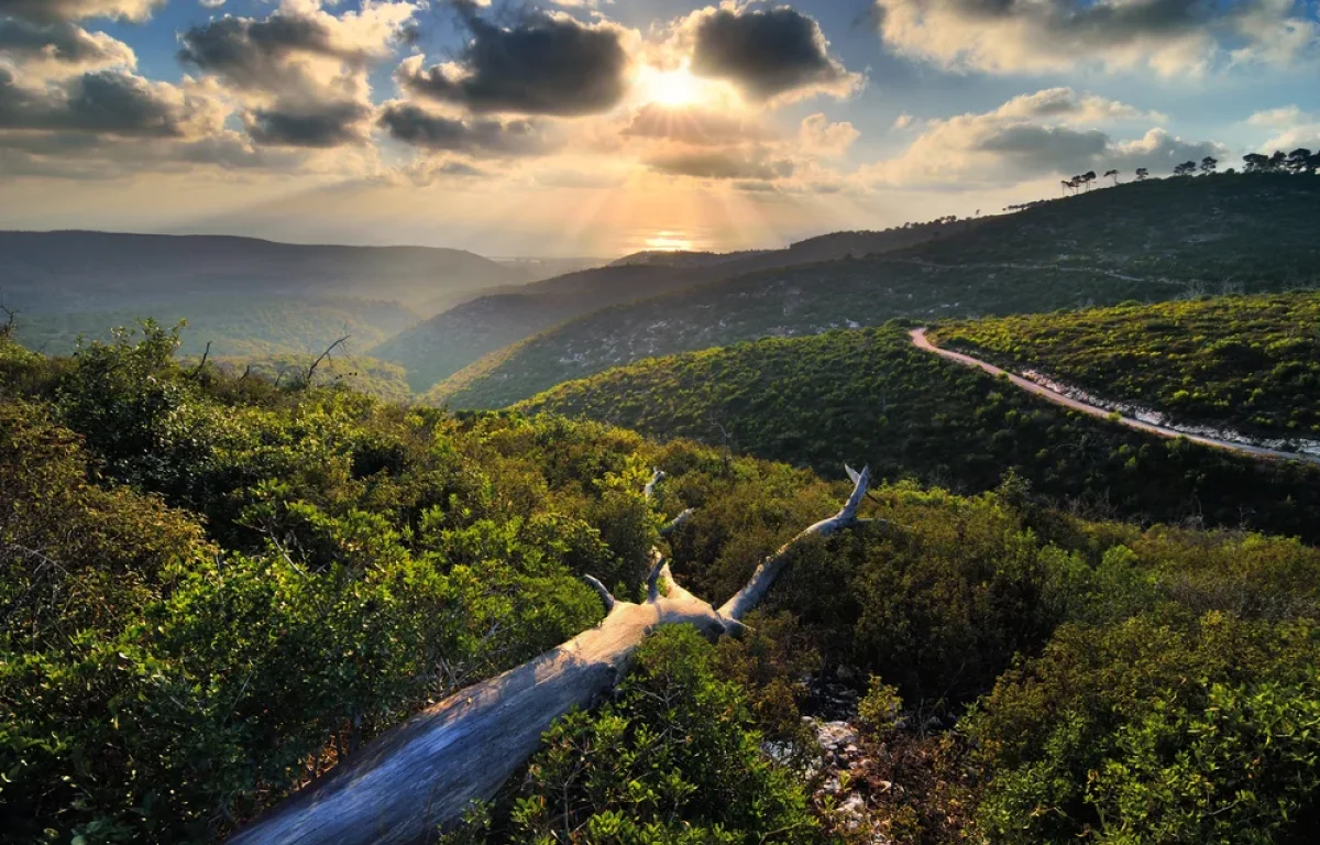 נוף בישראל נוף בישראל