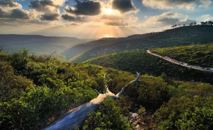 התקררות, גשם ואז תפנית: התחזית לשבוע הקרוב