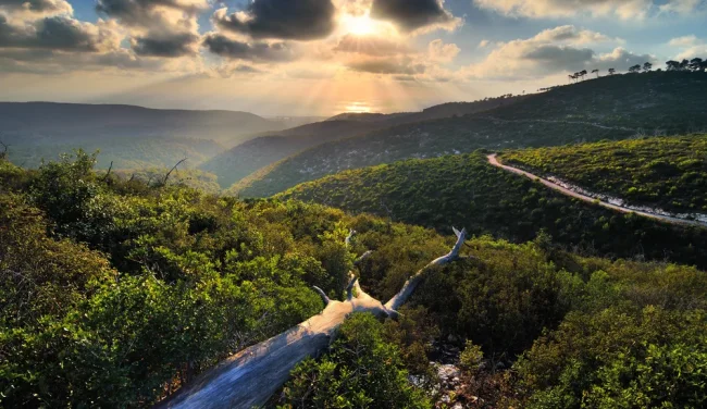 התקררות, גשם ואז תפנית: התחזית לשבוע הקרוב