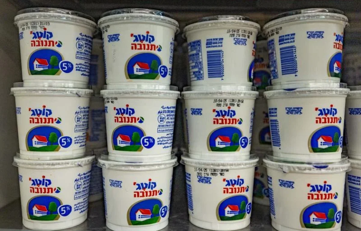 קוטג' במדפים