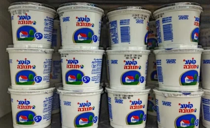 שוב המדפים מתרוקנים: מחסור בקוטג' ובגבינה לבנה ברשתות