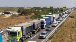 המוח החליט לפניך? כך נראית באמת הבחירה החופשית