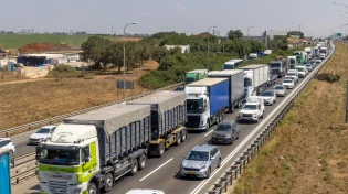 המוח החליט לפניך? כך נראית באמת הבחירה החופשית