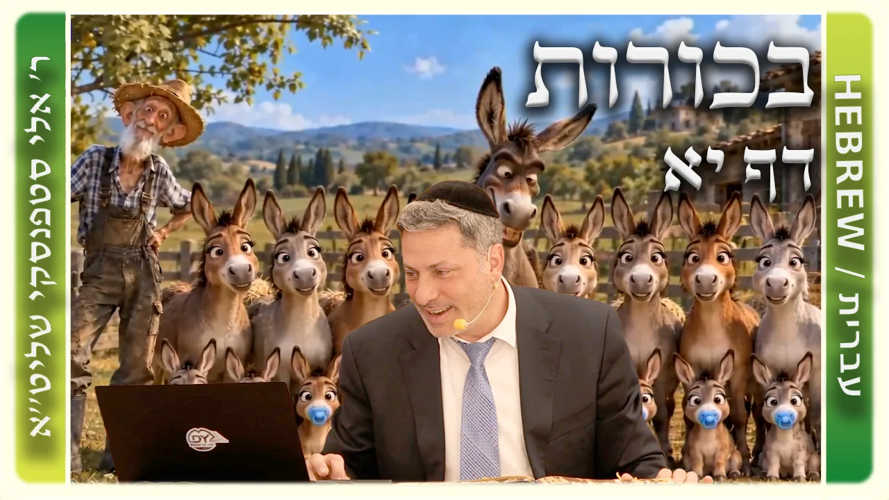 שיעור הדף היומי: בכורות דף יא - ר' אלי סטפנסקי