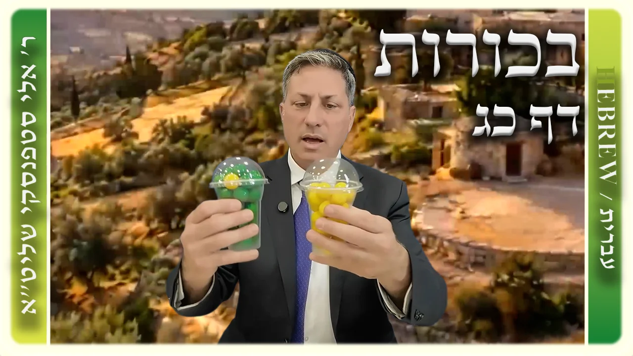 שיעור הדף היומי: בכורות דף כג - ר' אלי סטפנסקי