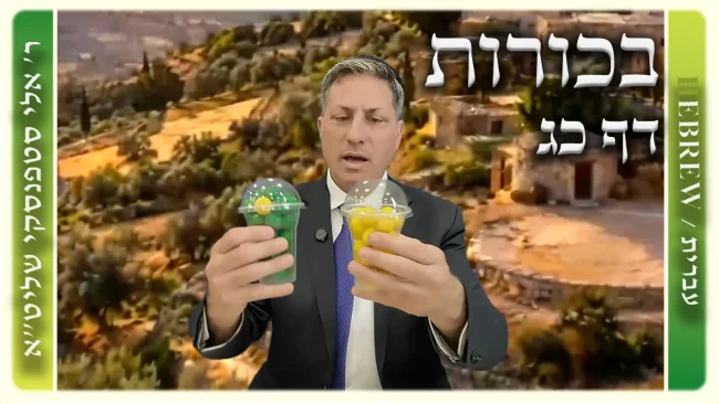 שיעור הדף היומי: בכורות דף כג - ר' אלי סטפנסקי
