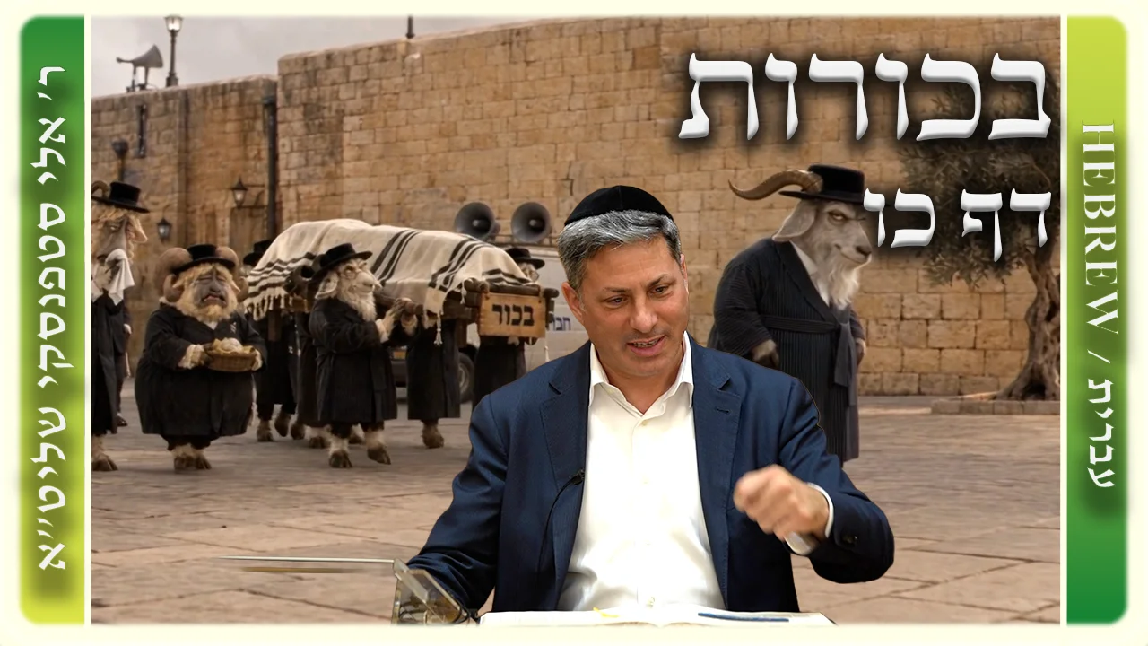 שיעור הדף היומי: בכורות דף כו - ר' אלי סטפנסקי