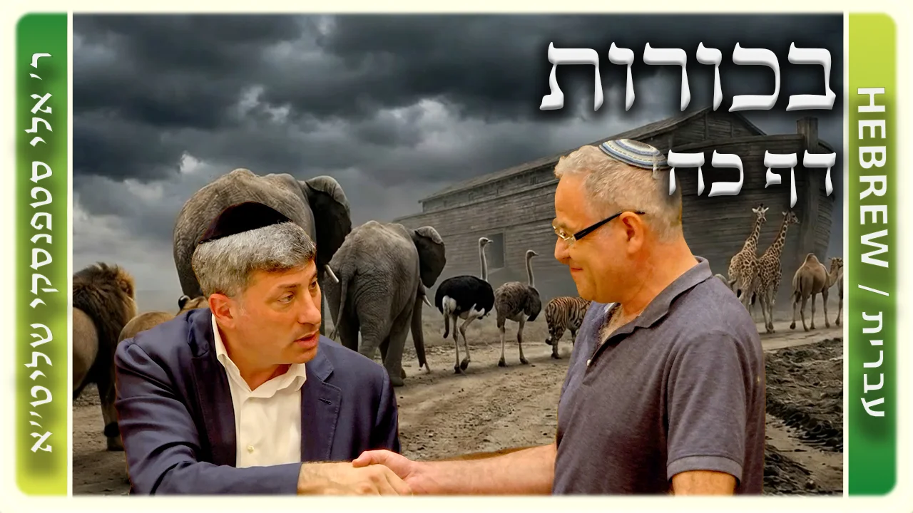 שיעור הדף היומי: בכורות דף כח - ר' אלי סטפנסקי