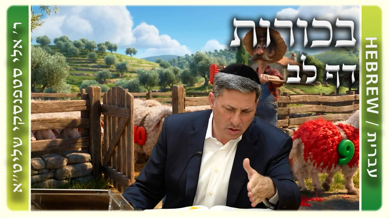 שיעור הדף היומי: בכורות דף לב - ר' אלי סטפנסקי
