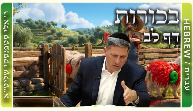 שיעור הדף היומי: בכורות דף לב - ר' אלי סטפנסקי