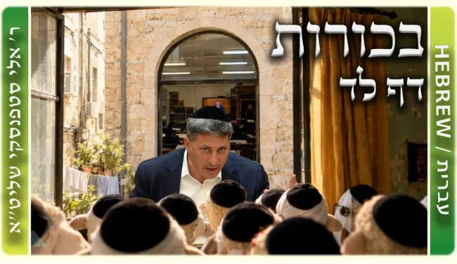 שיעור הדף היומי: בכורות דף לד - ר' אלי סטפנסקי