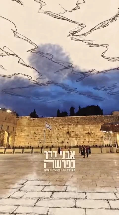 פרשת השבוע - פרשת וירא הרב שמואל רבינוביץ רב הכותל והמקומות הקדושים.