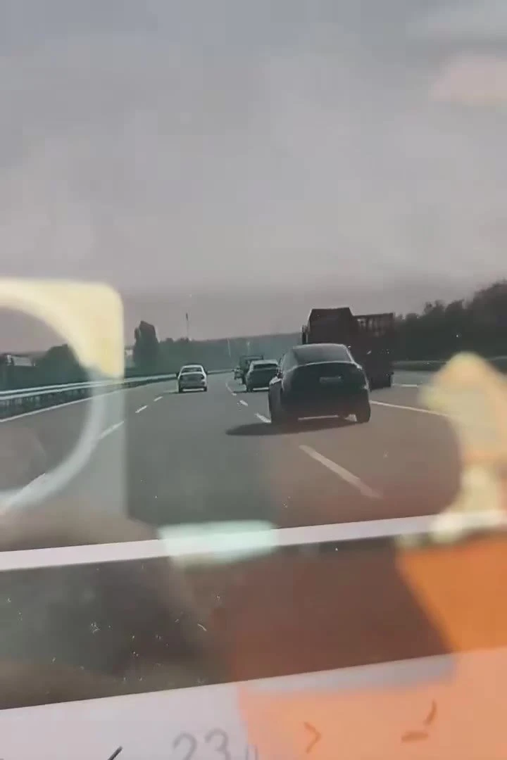 איזה אינסטינקטים משוגעים יש למערכות של הטסלה