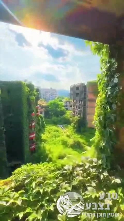ככה נראים מתחמי מגורים נטושים בסין, כשהטבע מתחיל להשתלט עליהם.