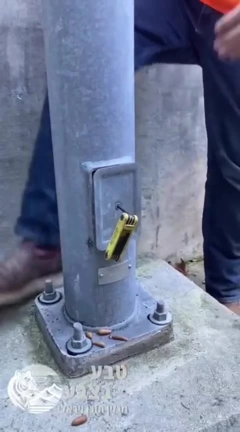 עובד תחזוקה פתח את מכסה השירות של עמוד תאורה, וגילה בפנים כמויות עצומות של בוטנים שנשפכו החוצה.