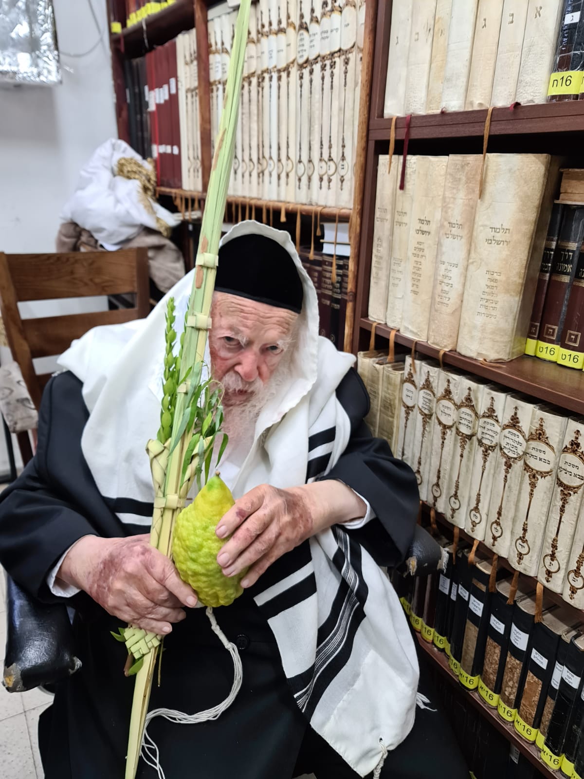 הרב חיים קנייבסקי עם ארבעת המינים הבוקר