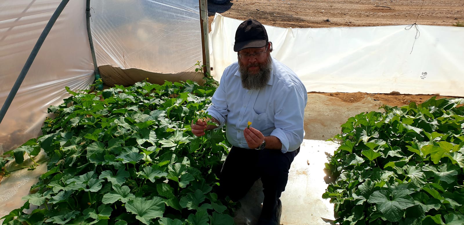 הרב יוסף דורפמן בחממות עין יהב