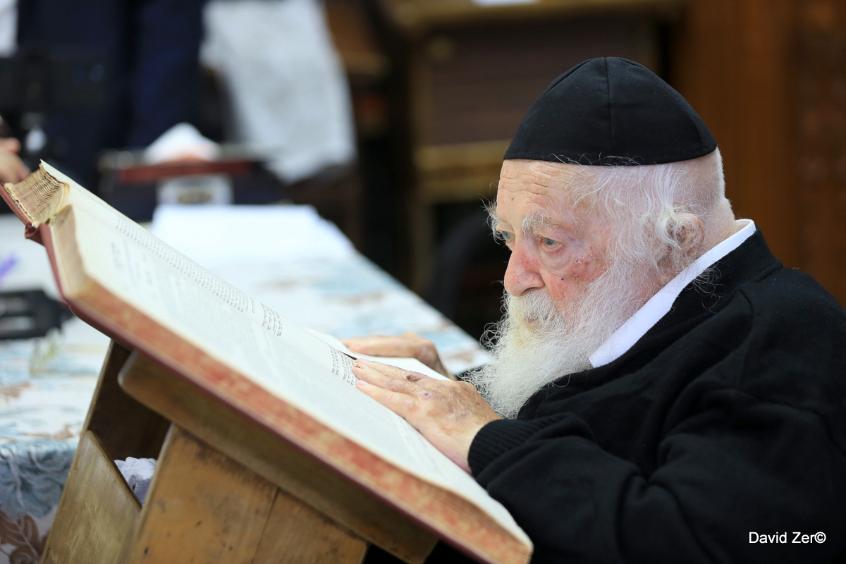 תמונות נדירות נחשפות: הרב חיים קנייבסקי כפי שלא ראיתם