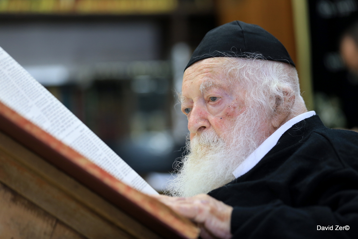 תמונות נדירות נחשפות: הרב חיים קנייבסקי כפי שלא ראיתם