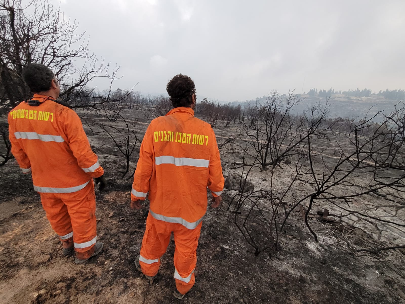 17,000 דונם נשרפו בשריפת הענק ע''י ירושלים - טרם הושגה שליטה