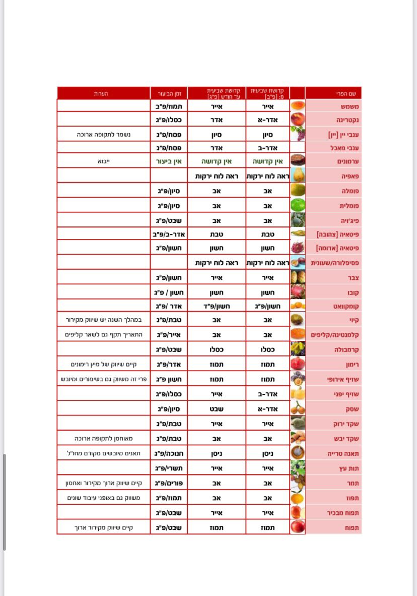 מתי מותר לתלוש? לקטוף? כל הלכות השמיטה לפניכם