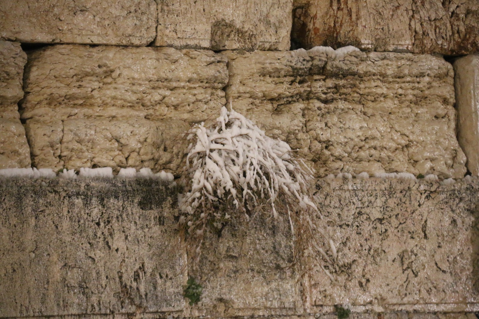 השלג בירושלים. (צילום: הקרן למורשת הכותל המערבי)