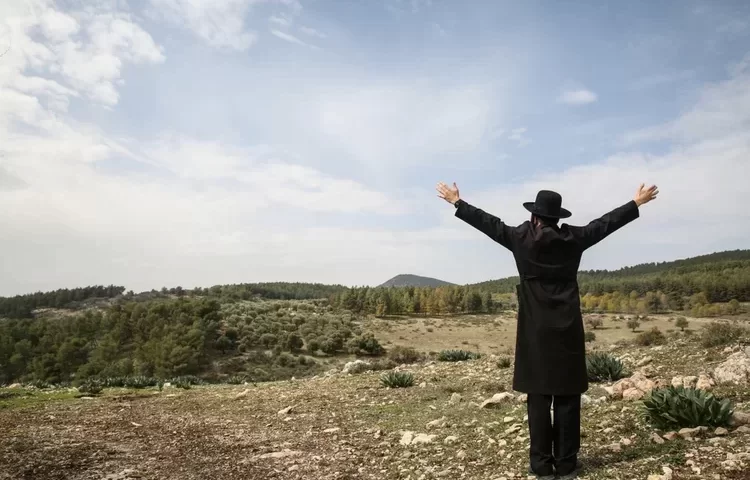 ברכת האילנות נוסח עדות המזרח: ברכת האילנות עדות המזרח. (צילום:David Cohen 156/shutterstock)