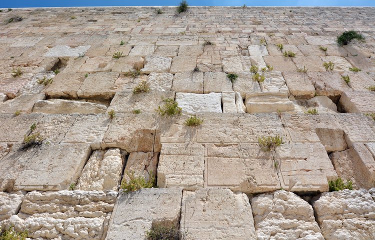 האם נשים חייבות לצום ביז בתמוז? נשים חייבות בצום יז בתמוז? (צילום: ChameleonsEye/shutterstock)