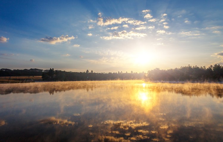 מי ינצל ממלחמת גוג ומגוג. (צילום: Yevhenii Chulovskyi/shutterstock)