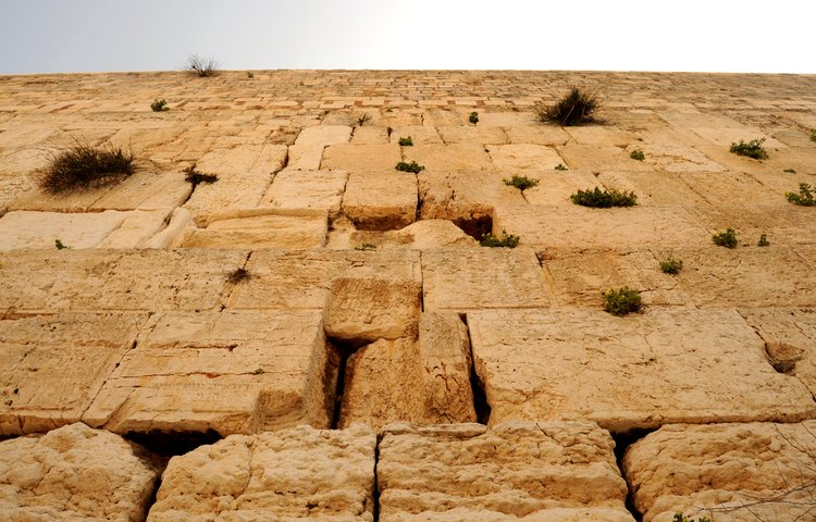 קריאת תהילים בתשעה באב. (צילום: achiaos/shutterstock)