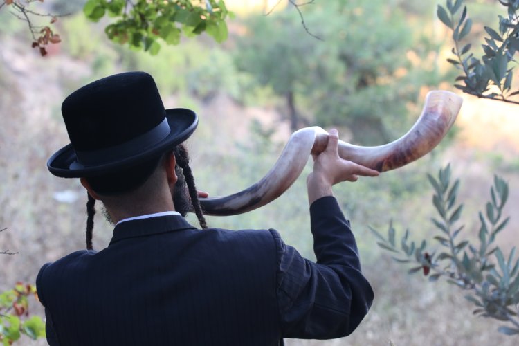 אמירת תחנון בעשרת ימי תשובה. (צילום: David Cohen 156/shutterstock)