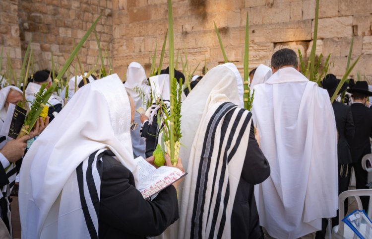 הושענא רבה יושבים בסוכה (צילום: Seth Aronstam/shutterstock)