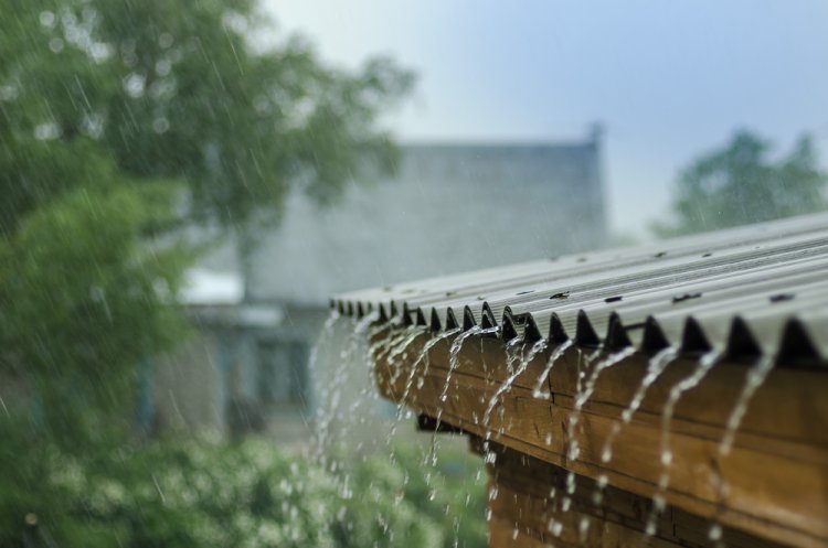 מתי עוברים לשעון חורף (צילום: Anna Nikonorova/shutterstock)