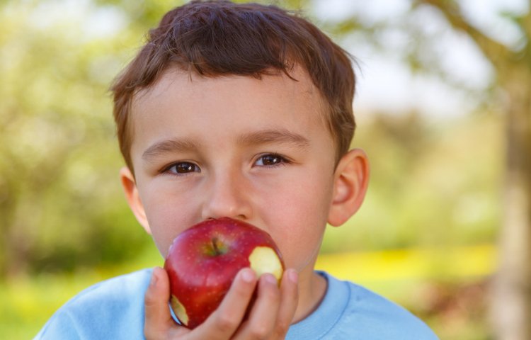 הקאות תרופות סבתא. (צילום: Markus Mainka/shutterstock)