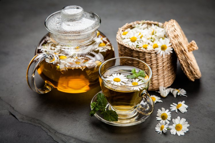 צמחי מרפא בתלמוד. (צילום: George Dolgikh/shutterstock)