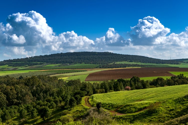 מזג אוויר בבאר יעקב מחר מה ללבוש? (צילום: xnir Photography/shutterstock)