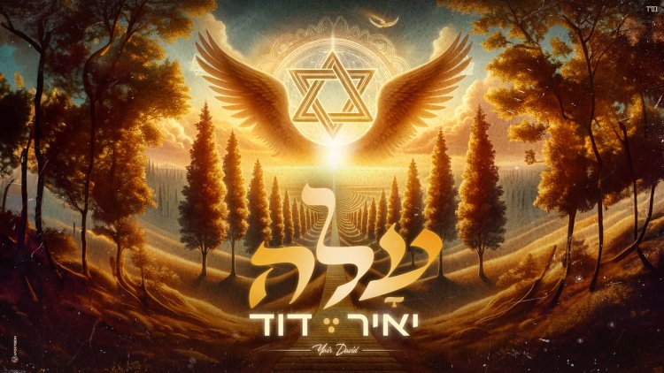 יאיר דוד – "עלה"