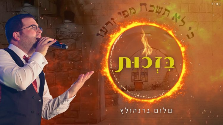 שלום ברנהולץ - בזכות