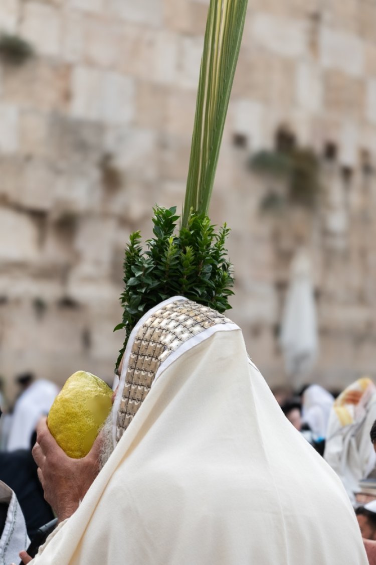 אלו ברכות נאמרות במהלך התפילה בהושענא רבה? (Yehoshua Halevi /shutterstock)