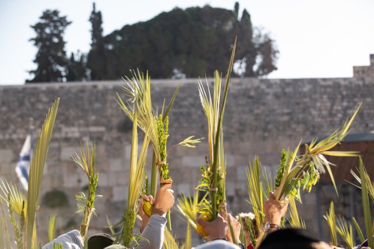 מהו הקשר בין הושענא רבה ליום הכיפורים? (Yehoshua Halevi /shutterstock)