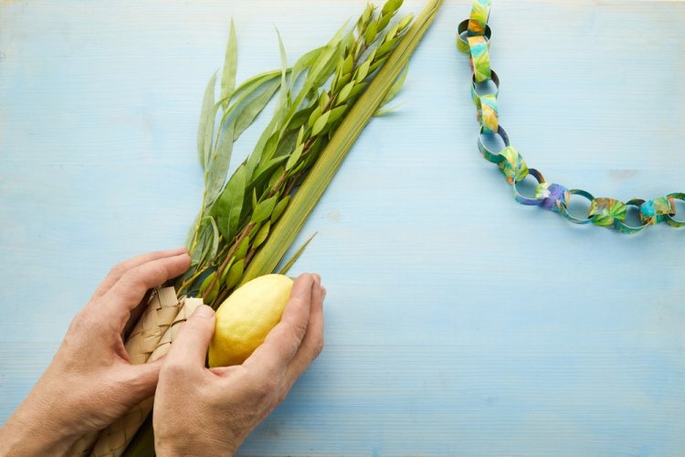 מהו המסר המרכזי של הושענא רבה ליהודים בימינו? (צילום: vetre/shutterstock)