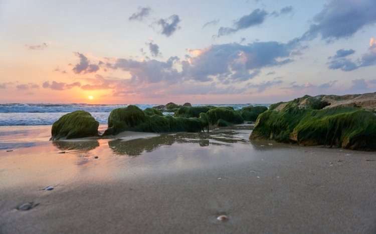 האם מותר לטבול כלים בים? (Oleksii Klonkin/shutterstock)